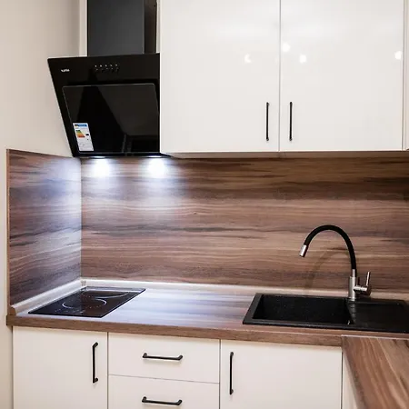 центр міста! затишні квартири в новобудові! Aparthotel Uzhhorod